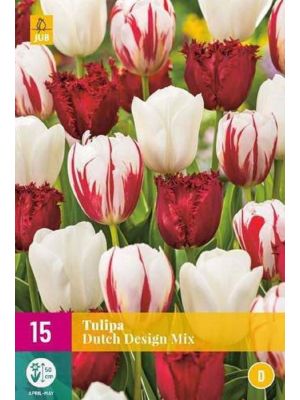Tulipani Dutch Design mix - bulbi autunnali