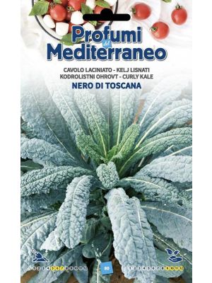 Cavolo Nero di Toscana - busta di sementi Profumi del Mediterraneo