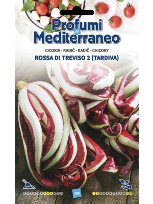 Cicoria Rossa di Treviso 2 tardiva - busta di sementi Profumi del Mediterraneo