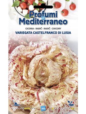 Cicoria Variegata Castelfranco di Lusia - busta di sementi Profumi del Mediterraneo