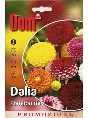 Dalia Pompon Mix - bulbi primaverili