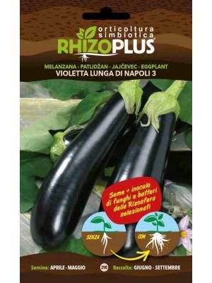 Melanzana Violetta Lunga di Napoli 3 - busta di sementi Rhizoplus