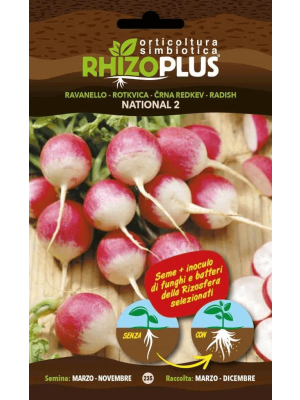 Ravanello National 2 - busta di sementi Rhizoplus