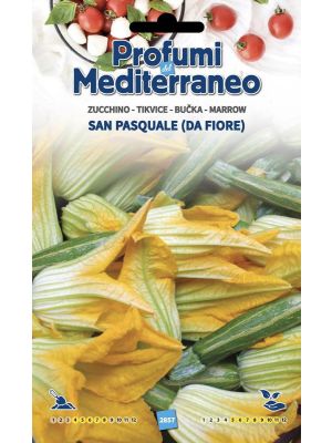 Zucchino San Pasquale da fiore - busta di sementi Profumi del Mediterraneo